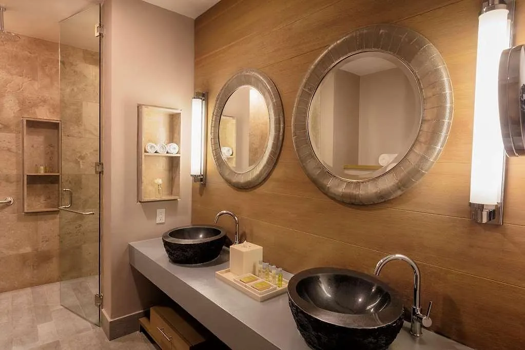 Hotel The Yucatan Playa Del Carmen All-Inclusive Resort Tapestry